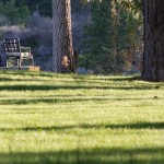 HatCreek2014 (652 of 609)